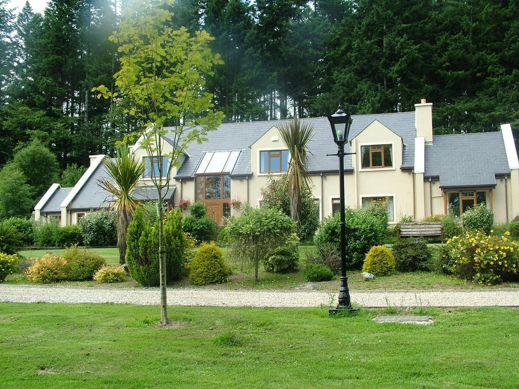 Trooperstown Lodge Laragh Eksteriør bilde